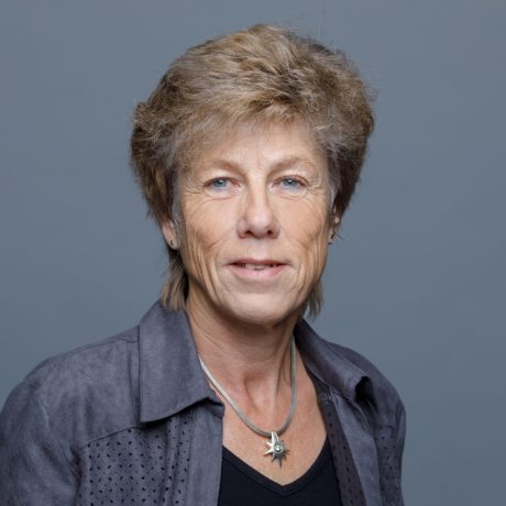 Elisabeth Heinzer, Steuern "      data-wph-elm=